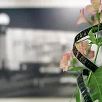 Zinema7 San Sebastián