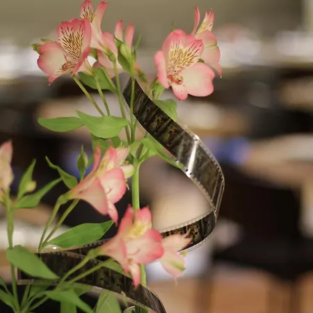 Zinema7 San Sebastián