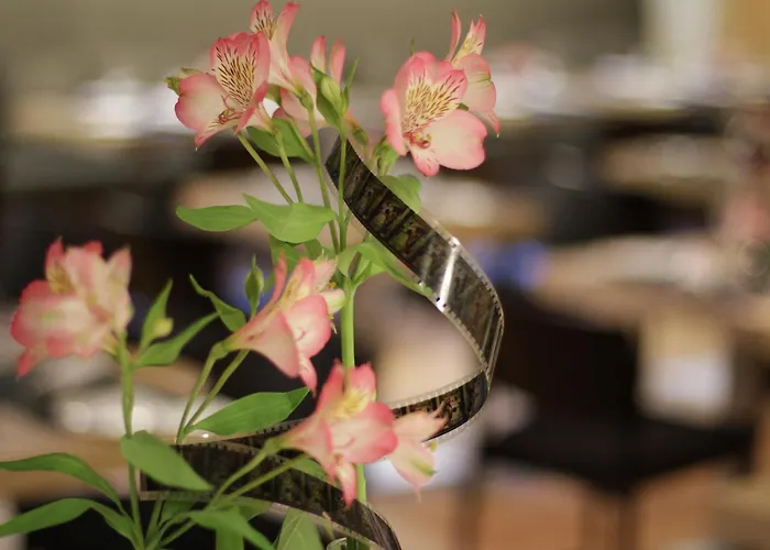 Zinema7 San Sebastián