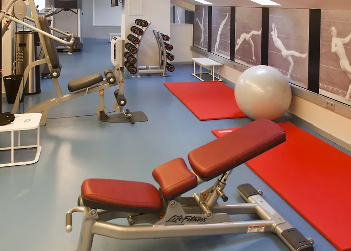 Zinema7 San Sebastian