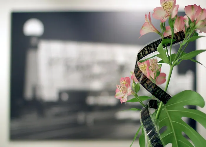 Zinema7 San Sebastián